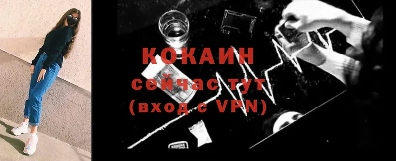 COCAIN FishScale  Каменногорск 